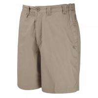 Kiwi Active Shorts