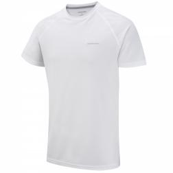 CMT684    Essential Base T-Shirt  - Colour White
