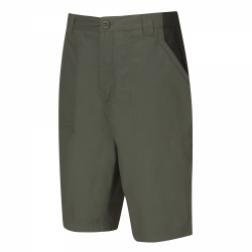 Bear Original Shorts