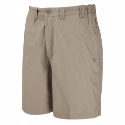CMJ258    Kiwi Active Shorts  - Colour Beach